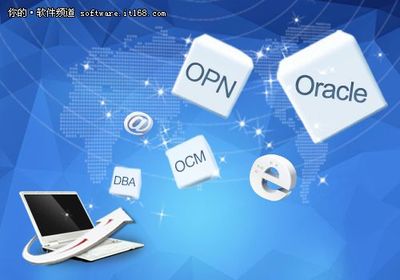 選擇Oracle技術(shù)服務公司需注意哪些事情